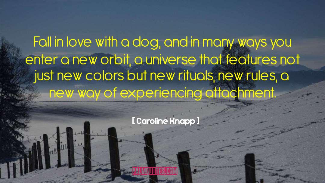 Goodnight My Love New quotes by Caroline Knapp