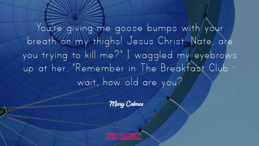 Goose quotes by Mary Calmes