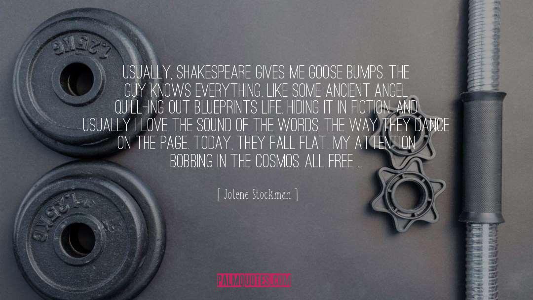 Goose quotes by Jolene Stockman