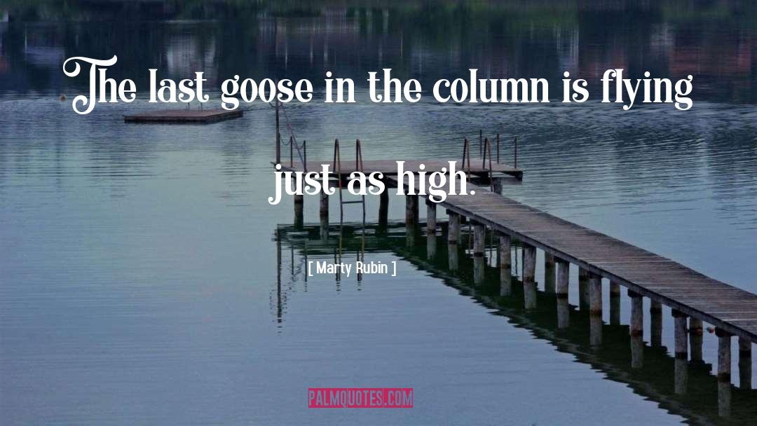 Goose quotes by Marty Rubin
