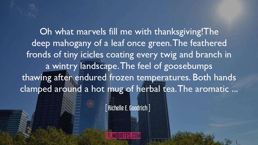 Goosebumps quotes by Richelle E. Goodrich
