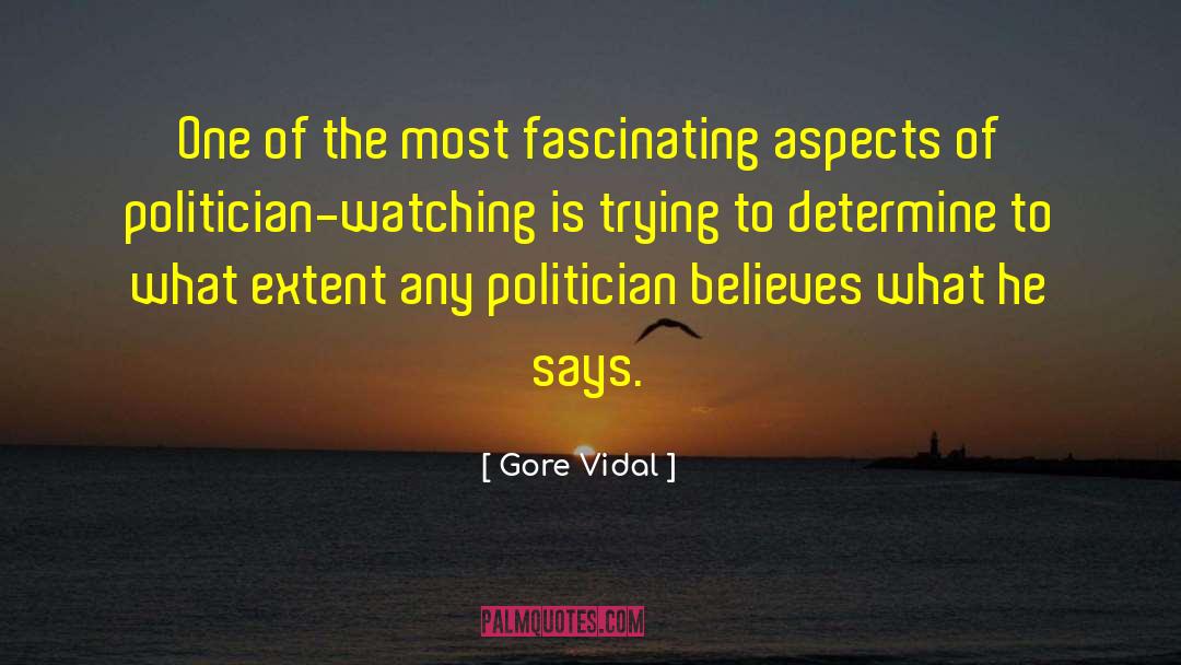 Gore Vidal quotes by Gore Vidal