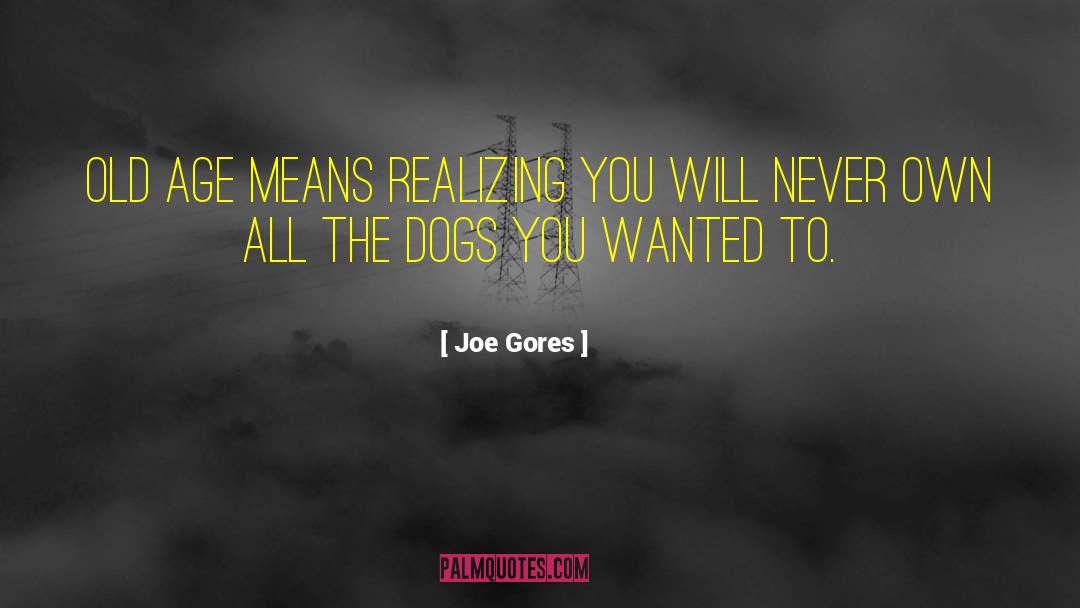 Gores quotes by Joe Gores