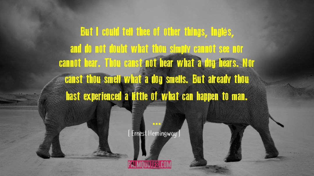 Gorga Gypsy quotes by Ernest Hemingway