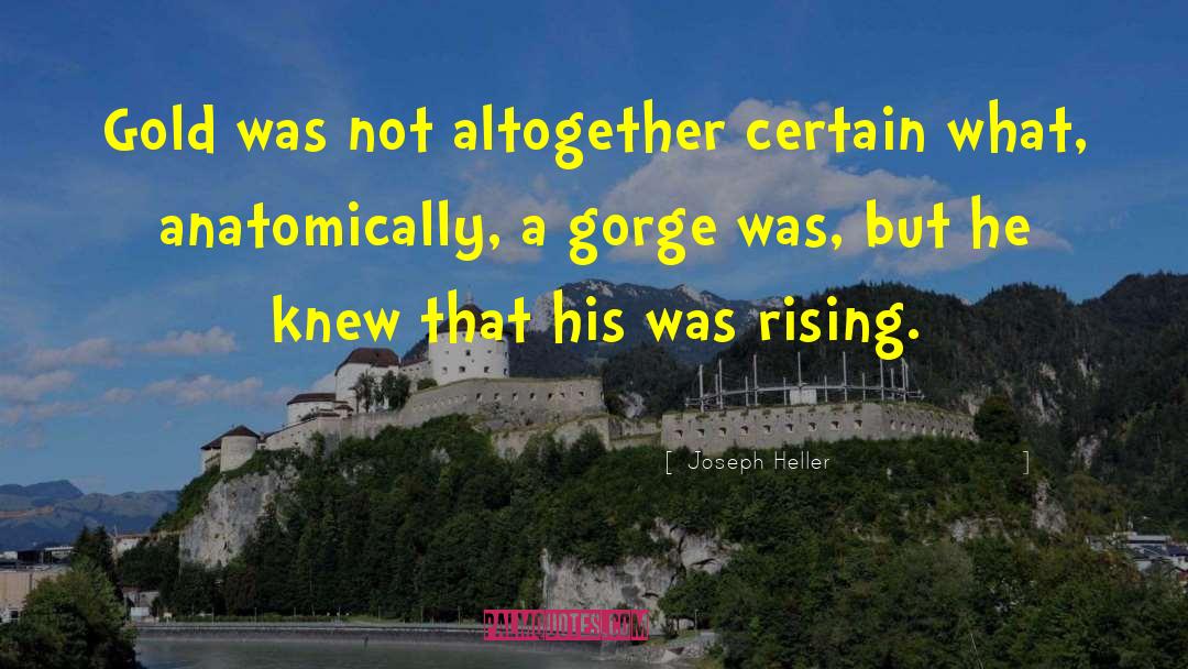 Gorge quotes by Joseph Heller