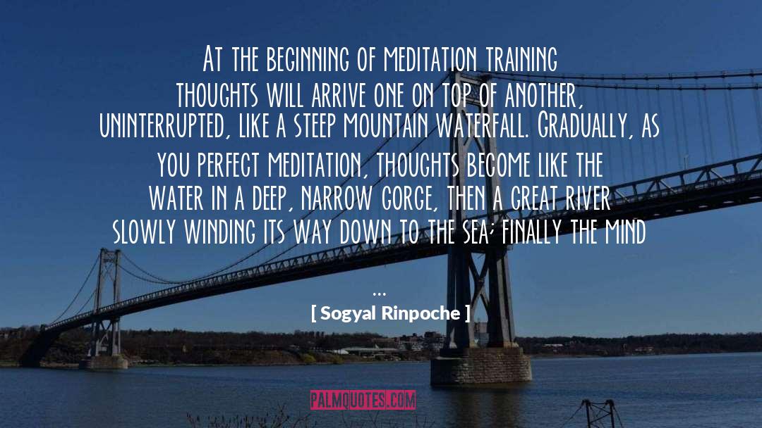 Gorge quotes by Sogyal Rinpoche