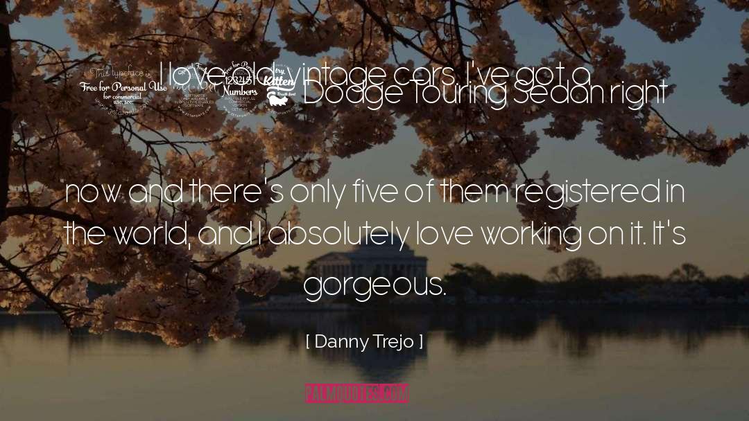 Gorgeous Imagery quotes by Danny Trejo