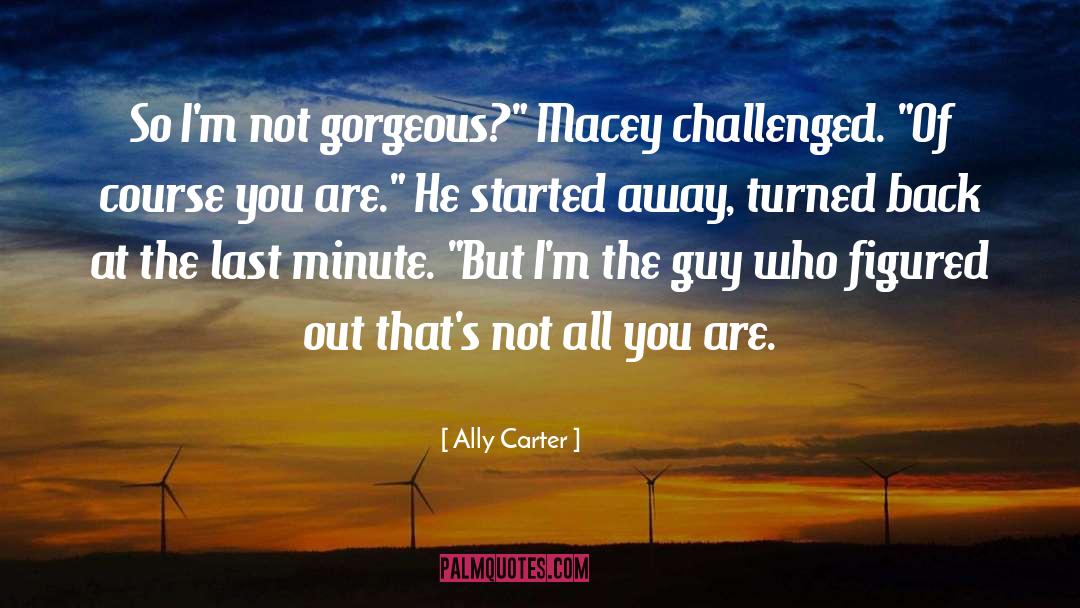 Gorgeous quotes by Ally Carter