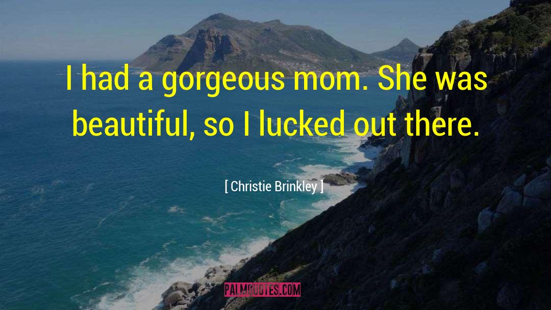Gorgeous Weather quotes by Christie Brinkley