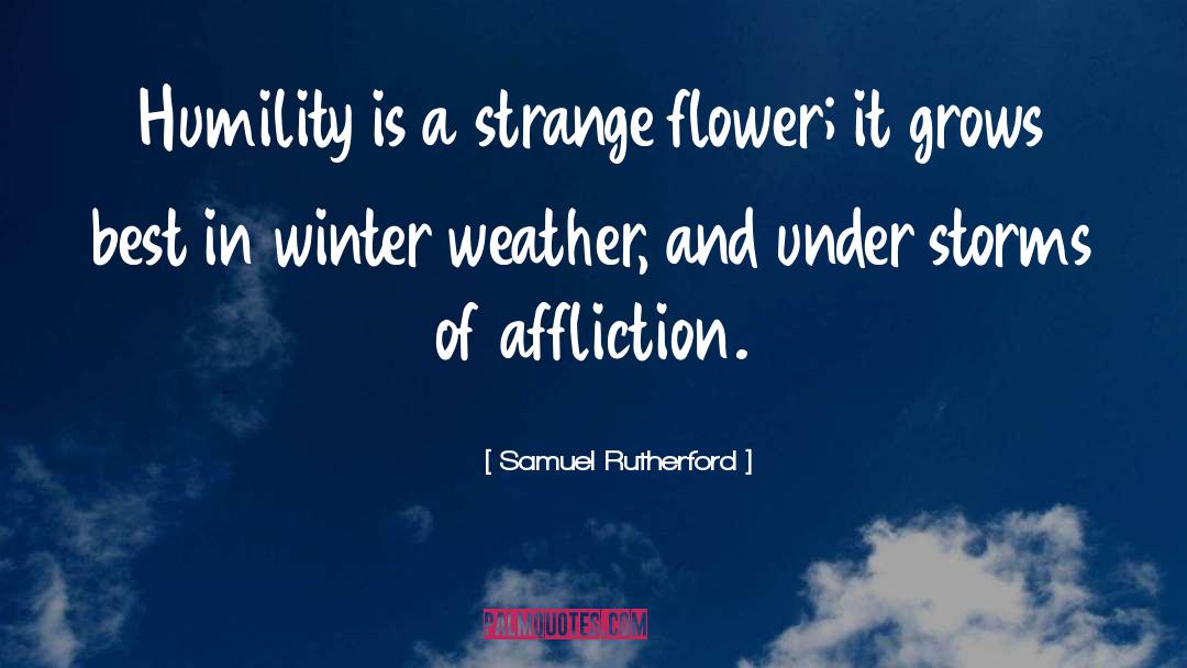 Gorgeous Weather quotes by Samuel Rutherford