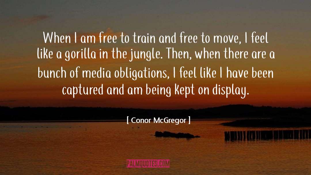 Gorilla quotes by Conor McGregor
