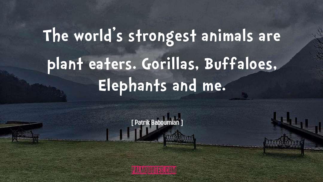 Gorillas quotes by Patrik Baboumian