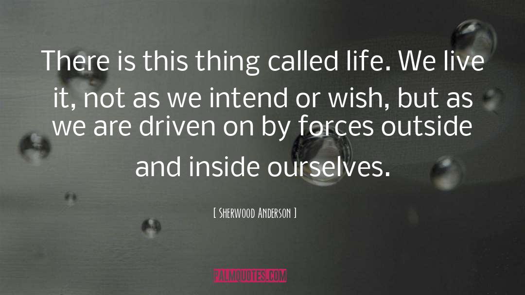 Gospel Driven Life quotes by Sherwood Anderson