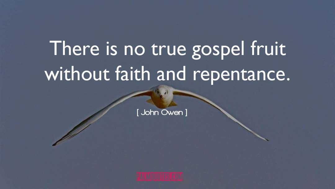 Gospel L quotes by John Owen