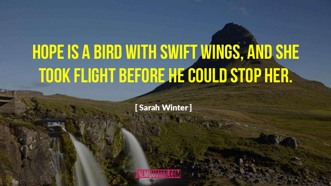 Gossamer Wings quotes by Sarah Winter