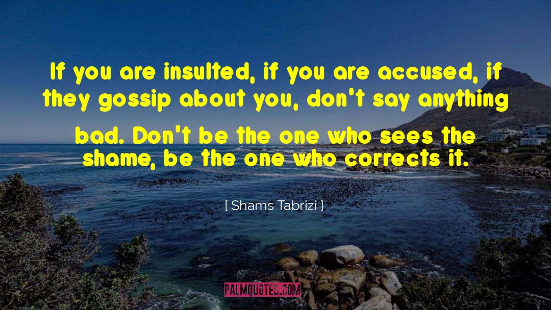 Gossip Slander quotes by Shams Tabrizi