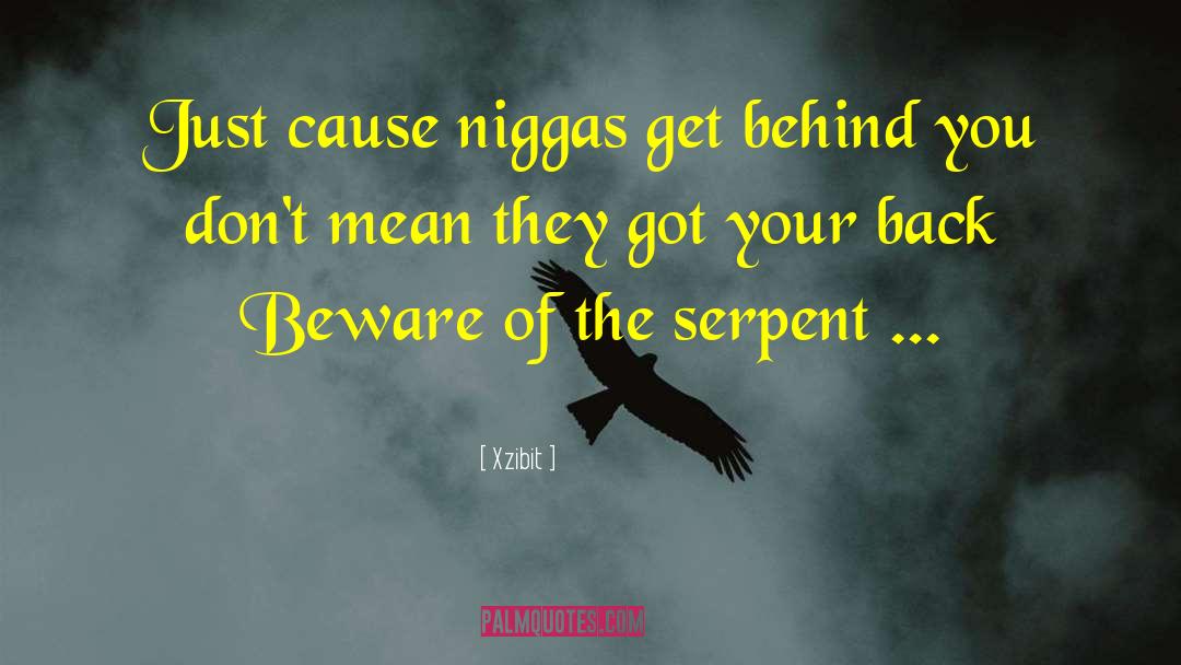 Got Your Back quotes by Xzibit