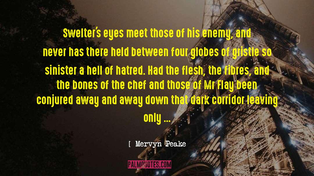 Gothic Fantasy quotes by Mervyn Peake
