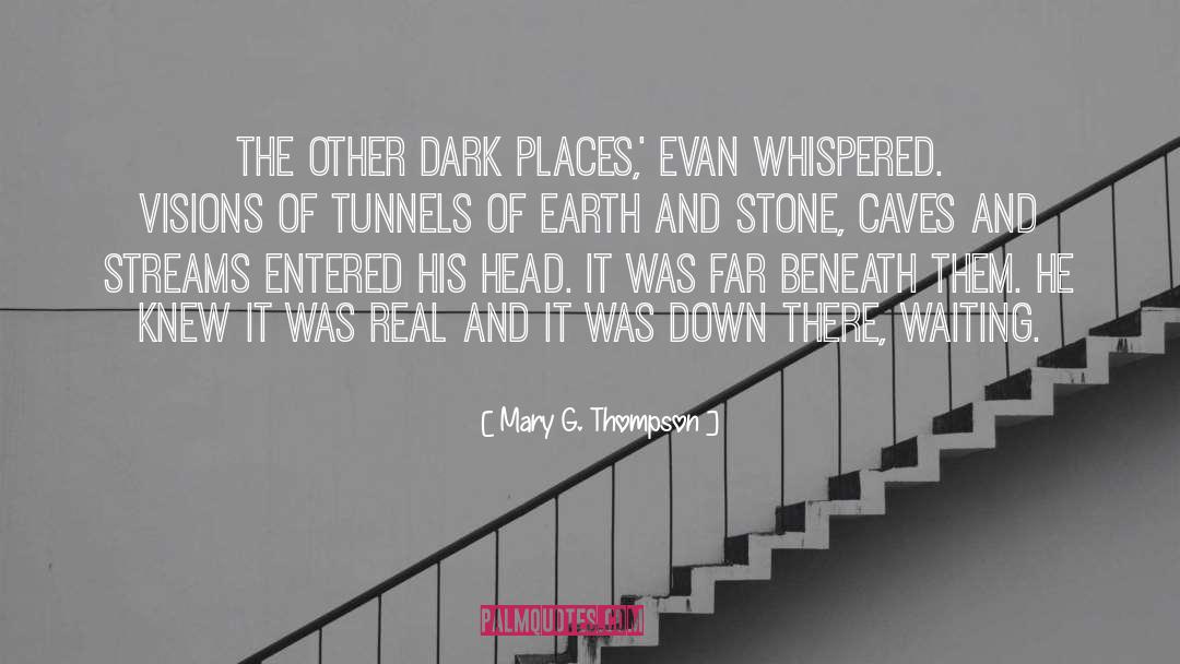 Gothic Teen Fantasy quotes by Mary G. Thompson