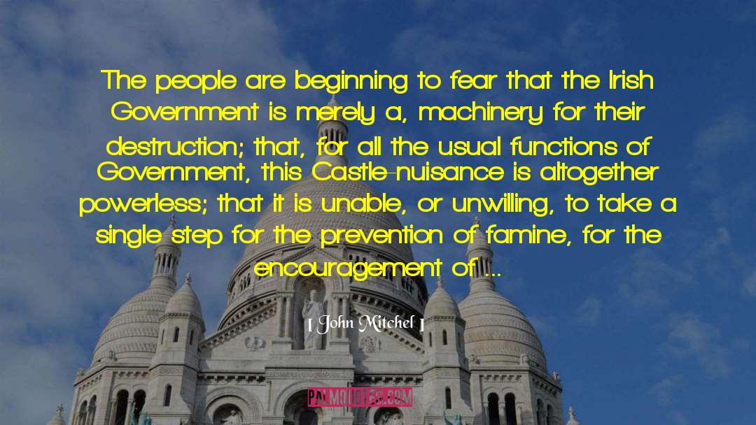 Government And Fear quotes by John Mitchel