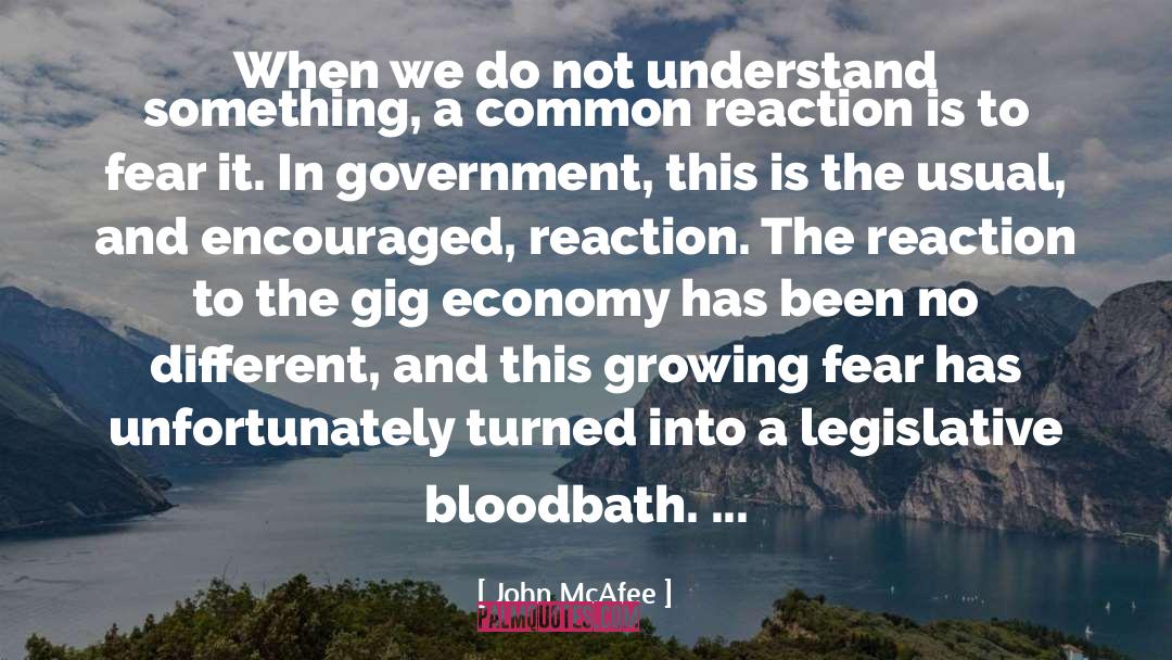Government And Fear quotes by John McAfee