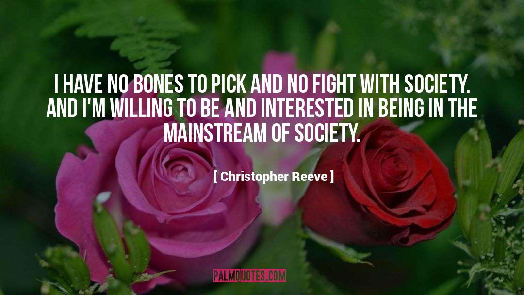 Government And Society quotes by Christopher Reeve