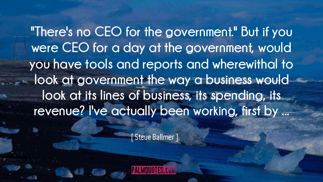 Government And Society quotes by Steve Ballmer