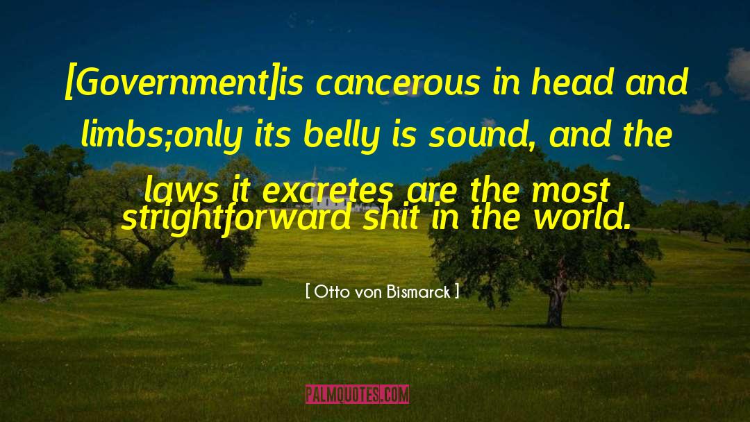 Government And Society quotes by Otto Von Bismarck