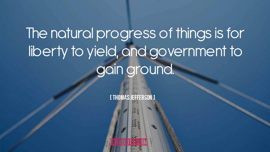 Government Bureaucracy quotes by Thomas Jefferson