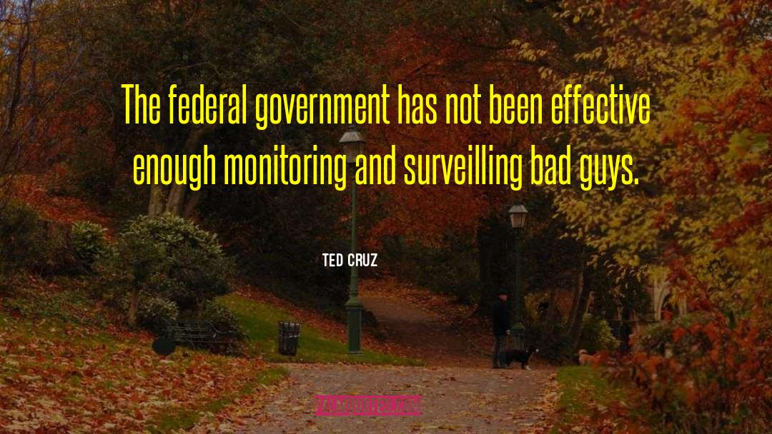 Government Grants quotes by Ted Cruz