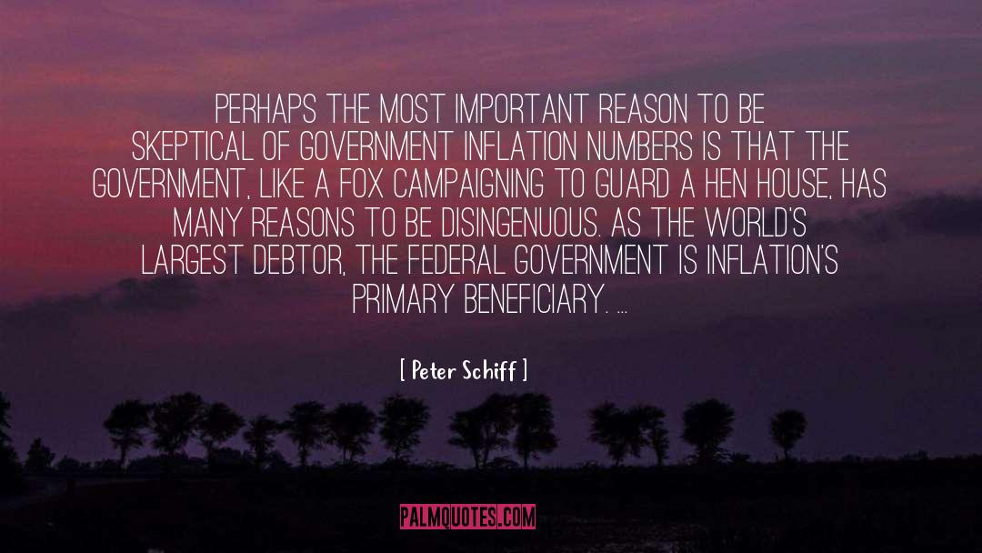 Government Intrusion quotes by Peter Schiff