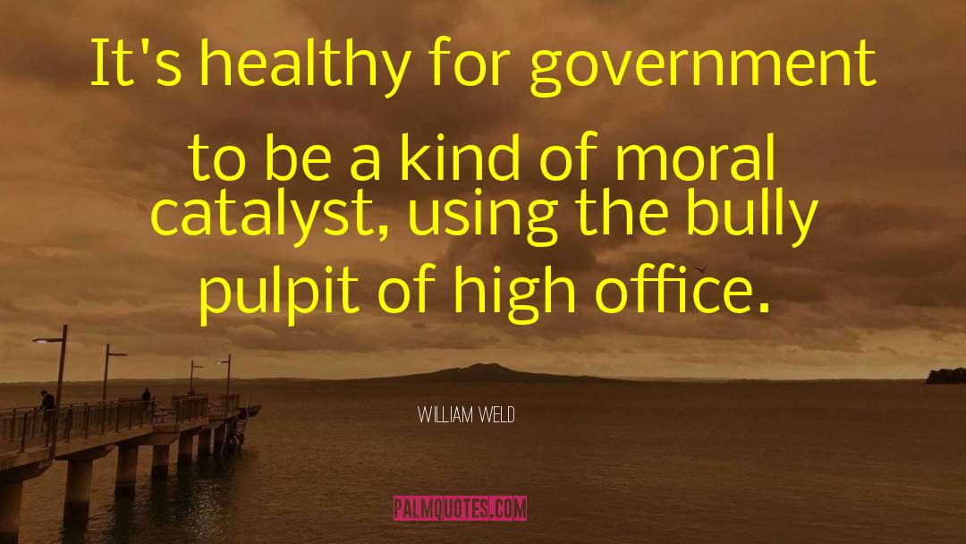 Government Moral Regulation quotes by William Weld