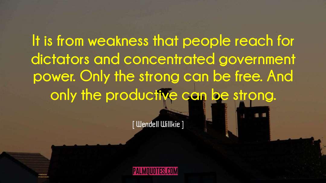 Government Power quotes by Wendell Willkie