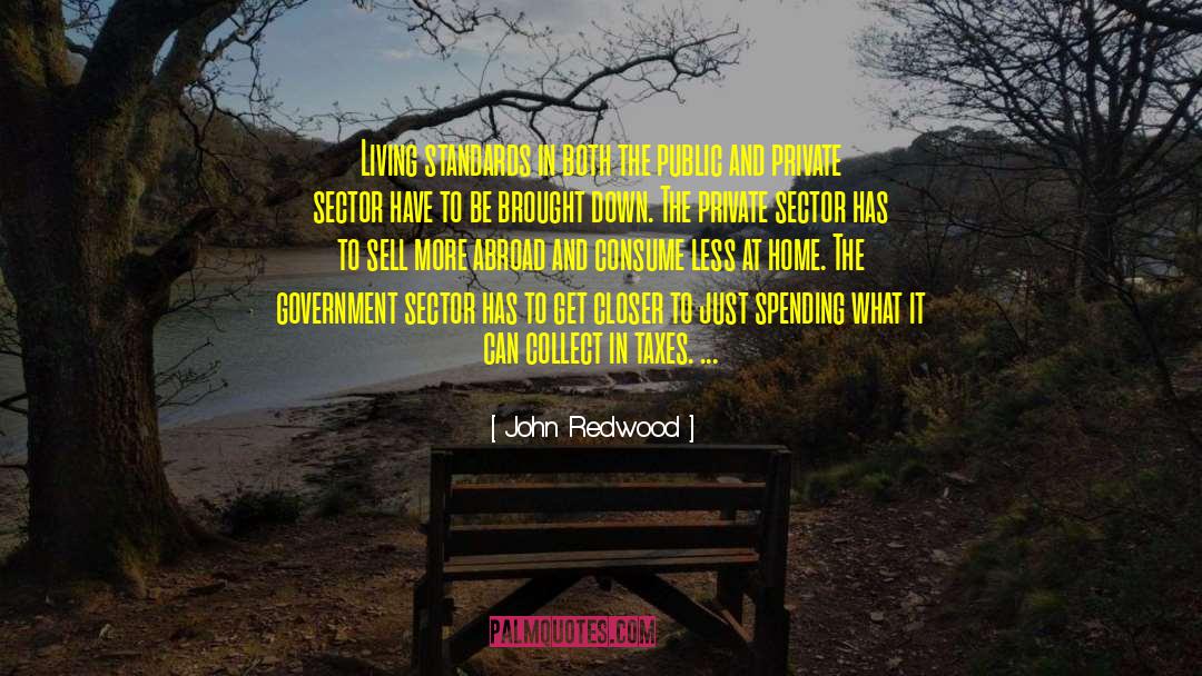 Government Programs quotes by John Redwood