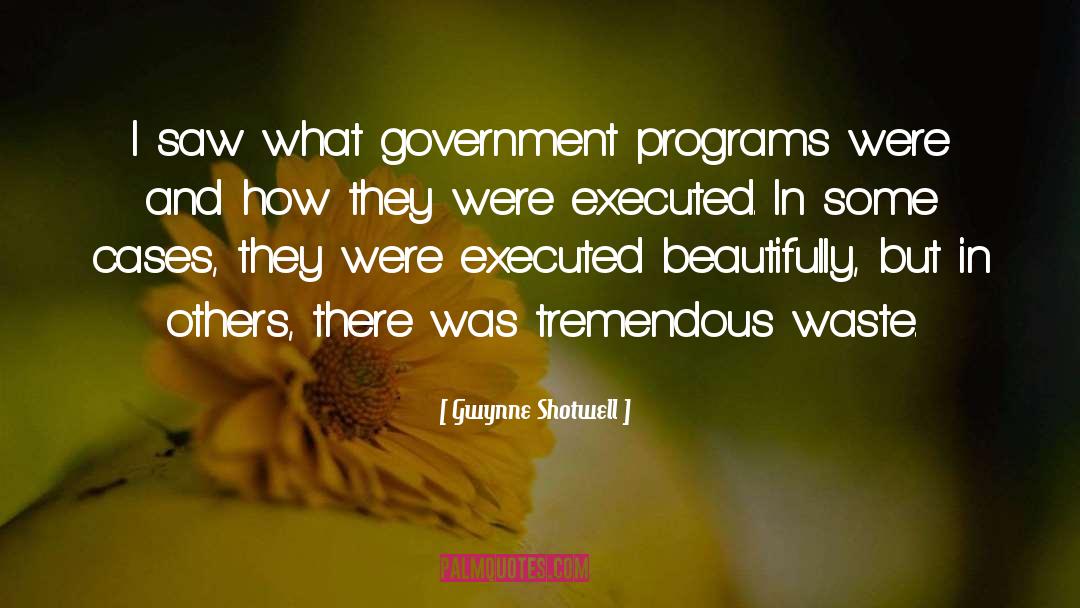 Government Programs quotes by Gwynne Shotwell
