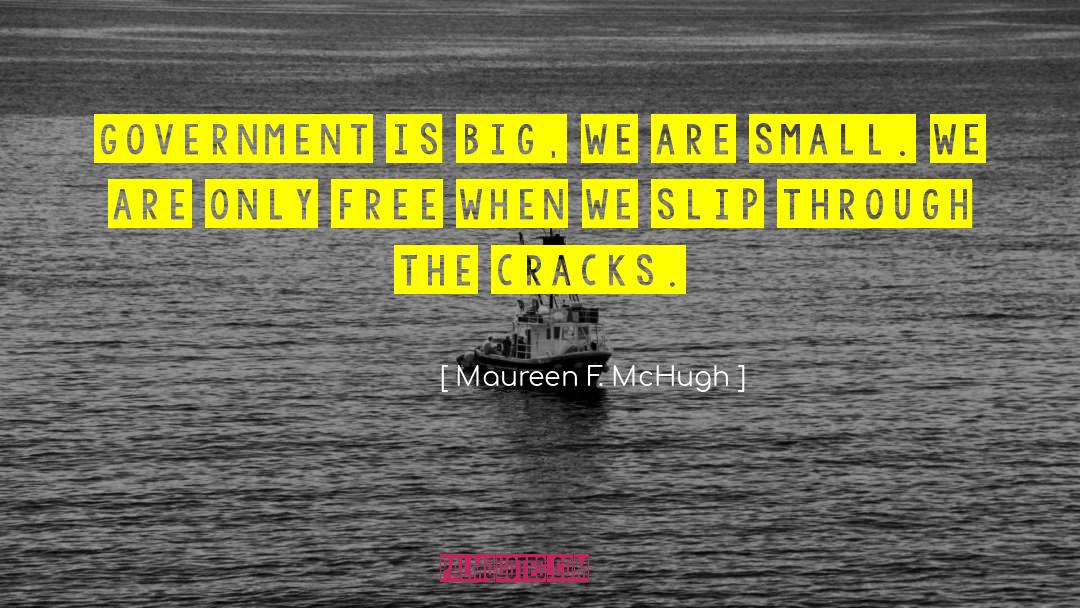 Government Takeover quotes by Maureen F. McHugh