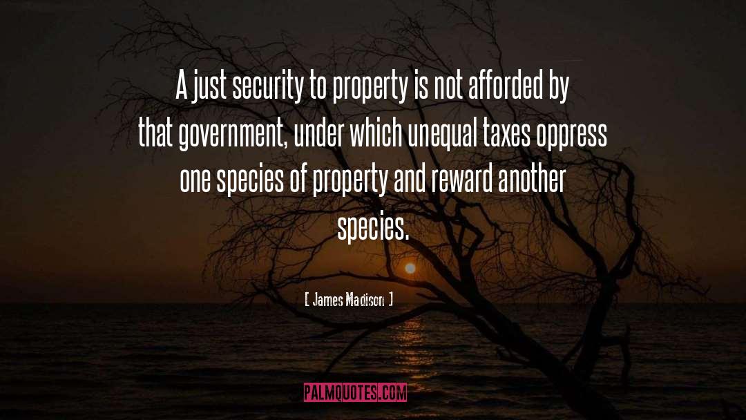 Government Taxation quotes by James Madison