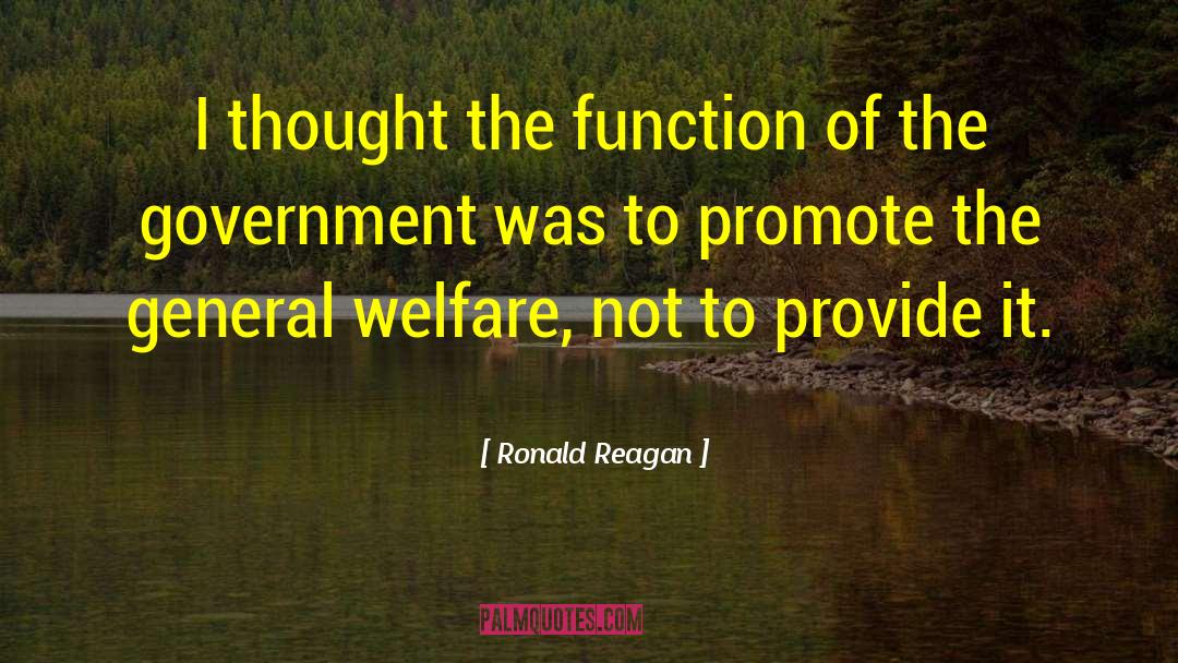 Government Welfare quotes by Ronald Reagan