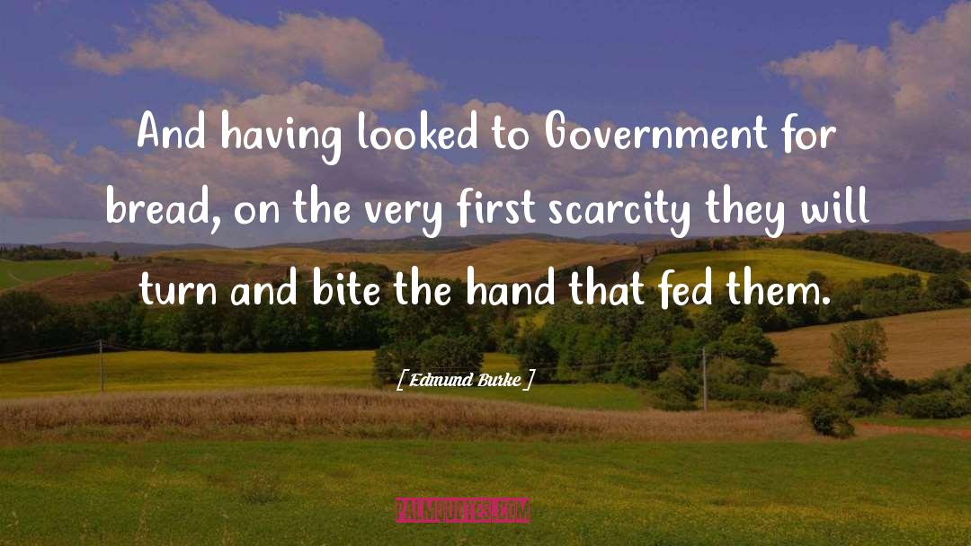 Government Welfare quotes by Edmund Burke
