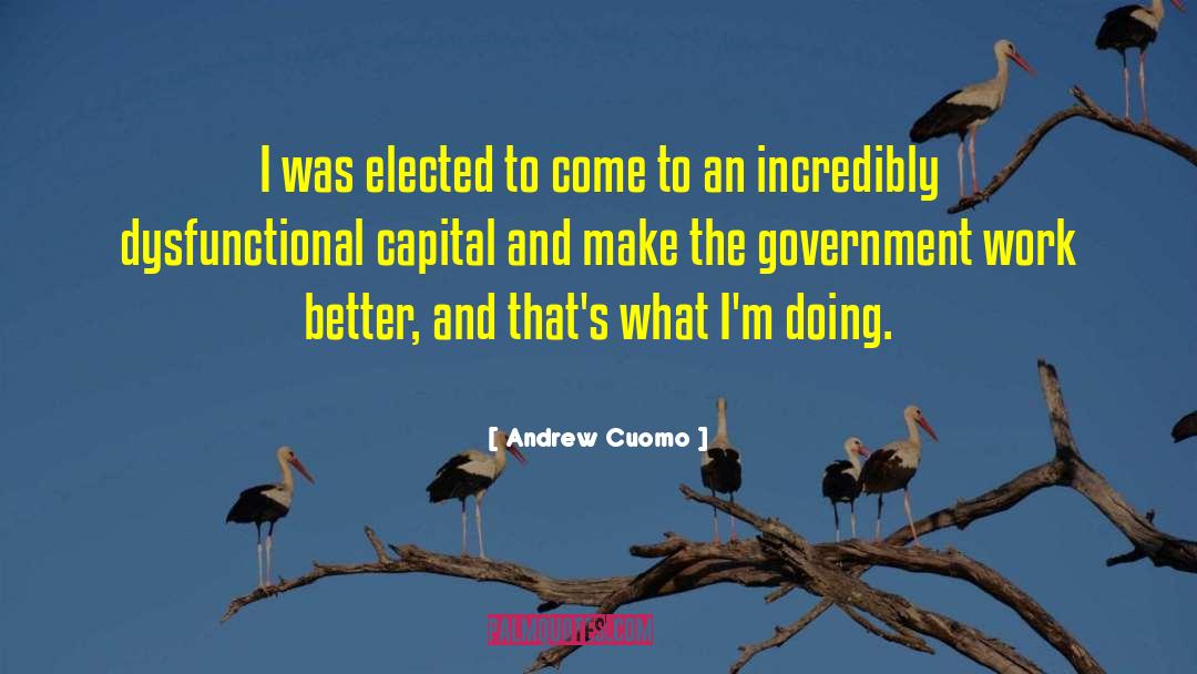 Government Work quotes by Andrew Cuomo