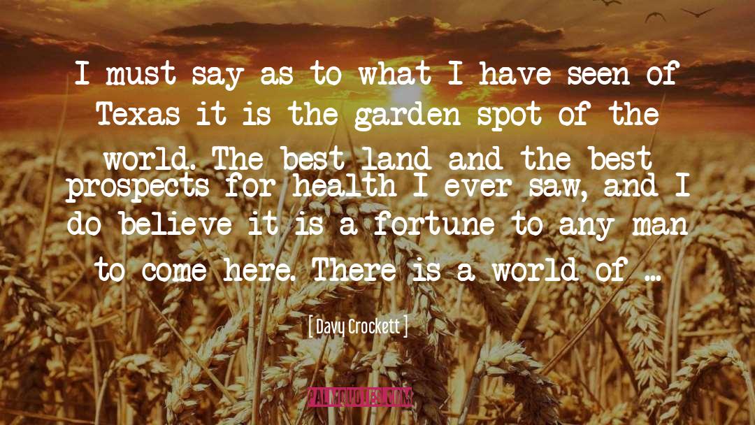 Governor Of Texas quotes by Davy Crockett