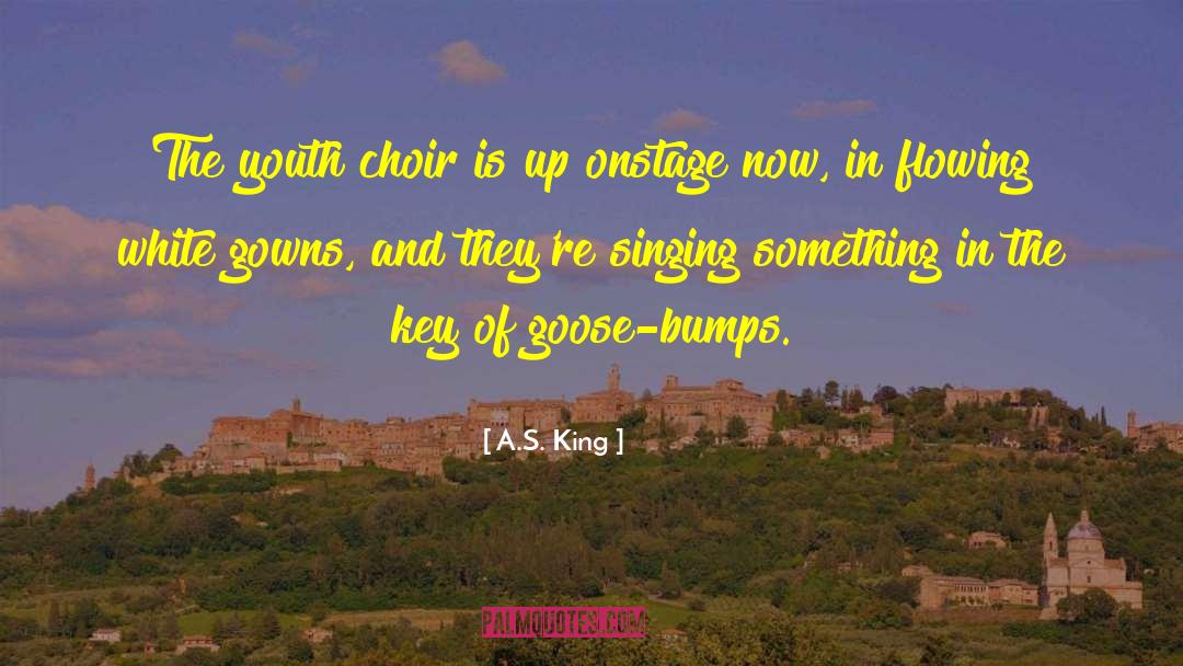 Gowns quotes by A.S. King