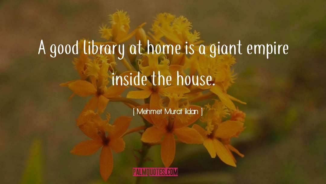 Goynes Home quotes by Mehmet Murat Ildan