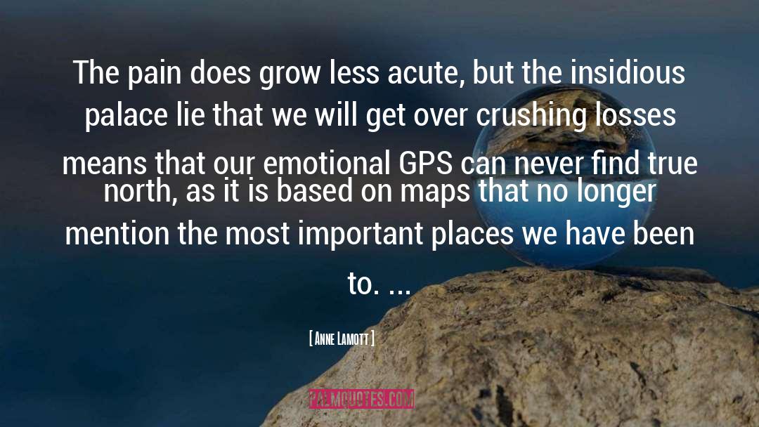 Gps quotes by Anne Lamott