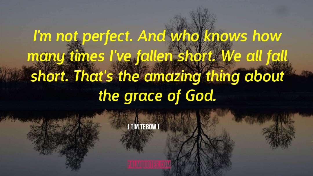 Grace Alone quotes by Tim Tebow