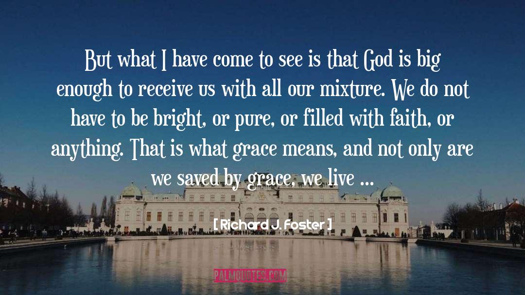 Grace Filled Homeschool quotes by Richard J. Foster