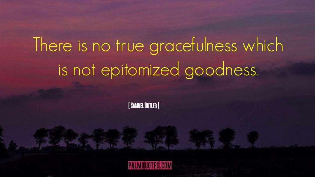 Gracefulness quotes by Samuel Butler