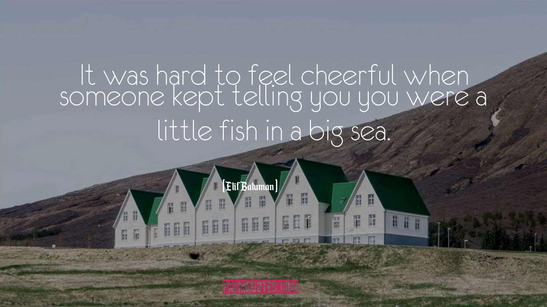 Grachev Fish Spoon quotes by Elif Batuman
