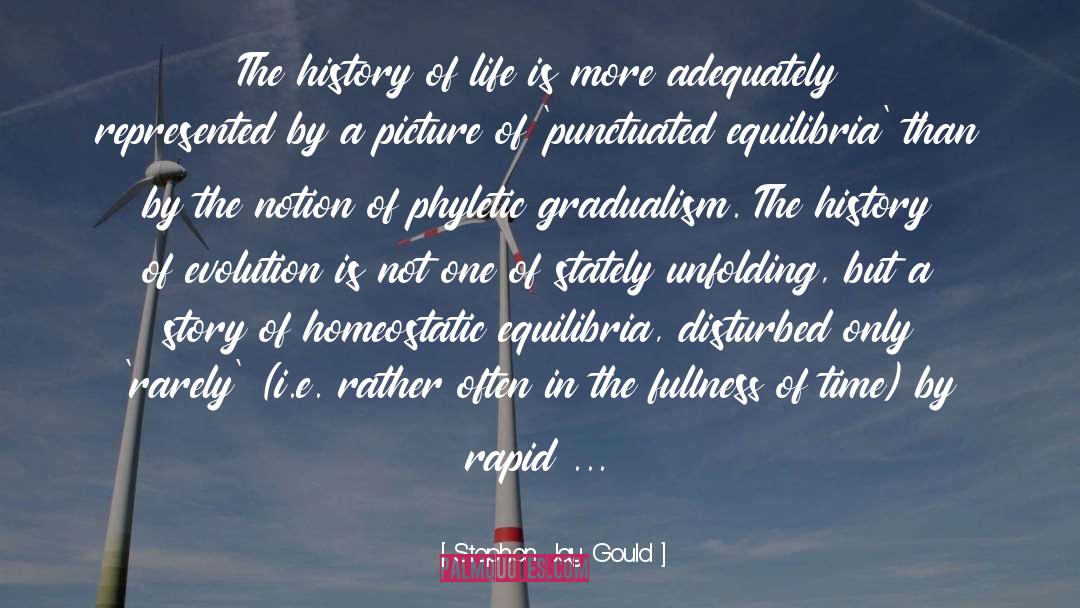 Gradualism quotes by Stephen Jay Gould