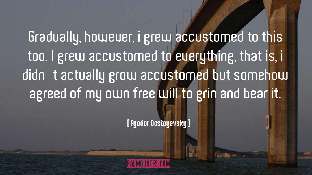Gradually quotes by Fyodor Dostoyevsky
